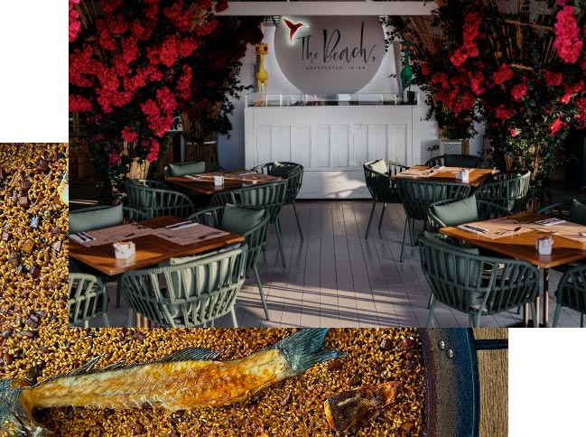 Philosophy Philosophy